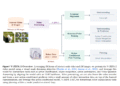Meta AI Releases V-JEPA 2: Open-Source Self-Supervised World Models for Understanding, Prediction, and Planning
